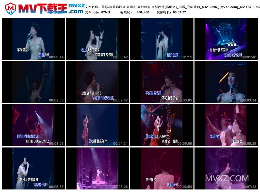 蔡琴-等着你回来 好预兆 爱神的箭 南屏晚钟(演唱会)_国语_合唱歌曲_MA105282